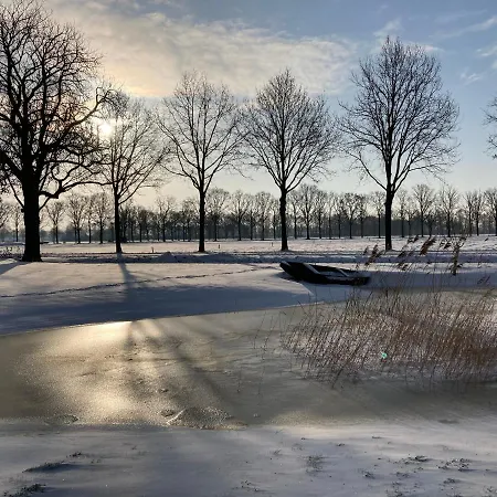 Dreams * Vorstenbosch