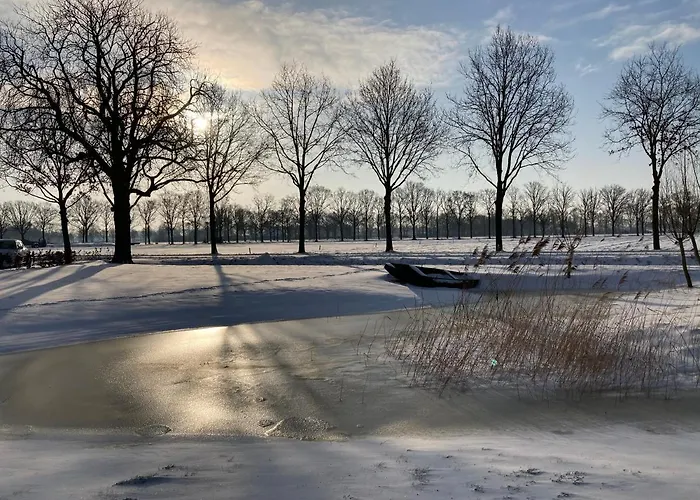 Dreams * Vorstenbosch