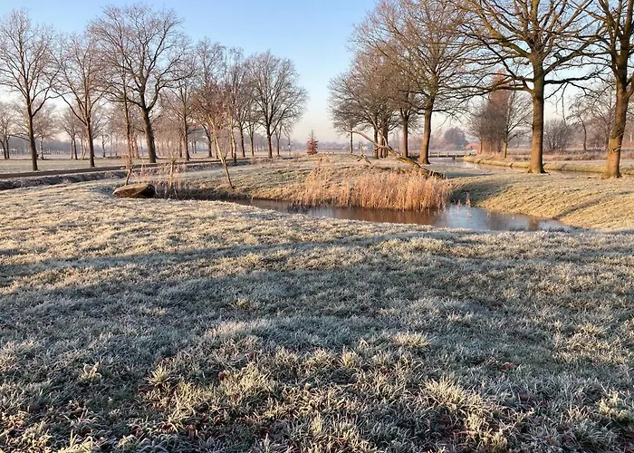 Dreams * Vorstenbosch