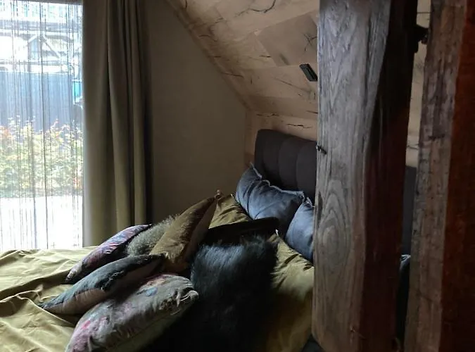 Dreams Casa vacanze *