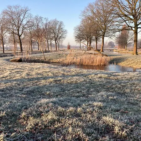 Dreams * Vorstenbosch